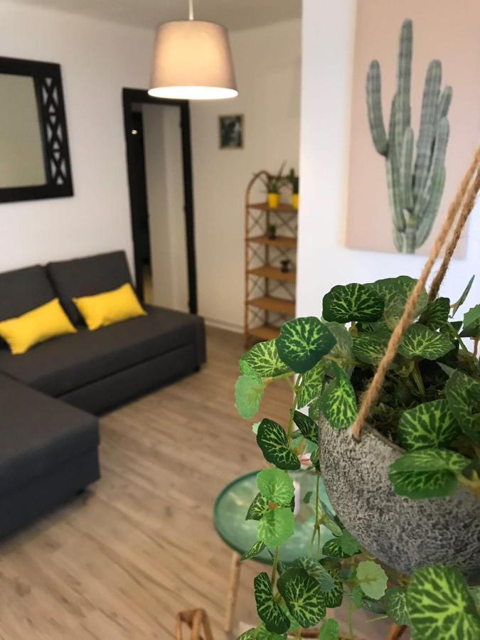 Cactus 2 Bedroom Apartment On Calle San Miguel Minutes From The Beach By Namaste Elite ตอร์เรโมลิโนส ภายนอก รูปภาพ